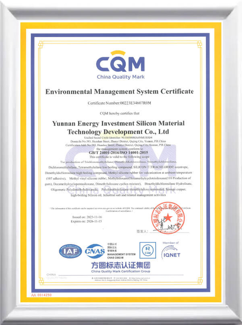 CERTIFICAT-2 (1)